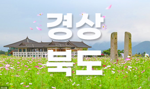 경상북도 공식블로고 썸네일이미지