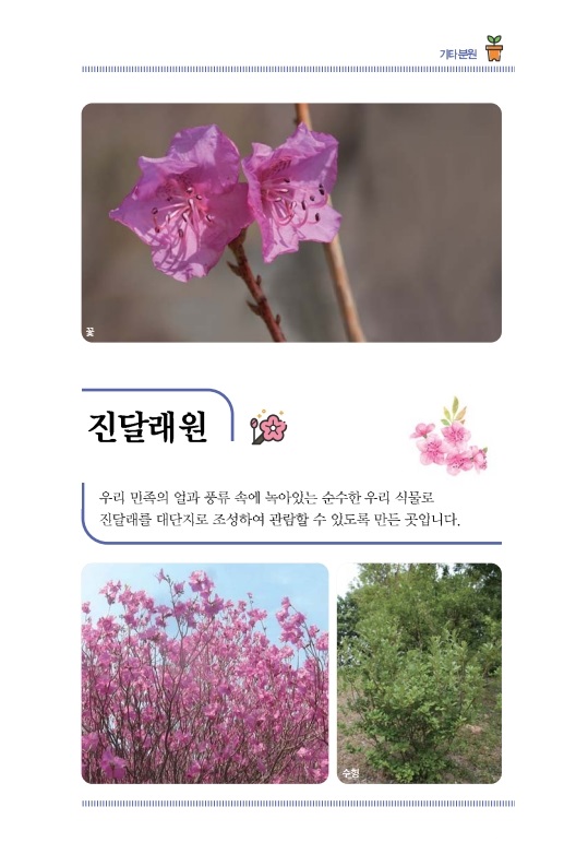 진달래원