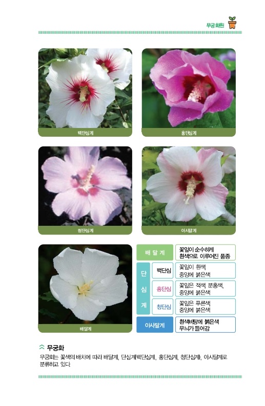 무궁화원
