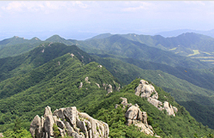 탐방코스 안내