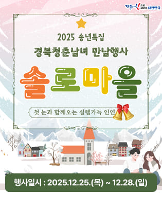 (경북의 힘으로 새로운 대한민국) 2025 송년특집 경북청춘남녀 만남행사 솔로마을 - 첫 눈과 함께오는 설렘가득 인연 행사일시 : 2025.12.25.(목) ~ 12.28.(일)