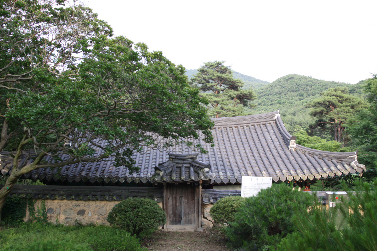 포항 용계정과 덕동숲_1