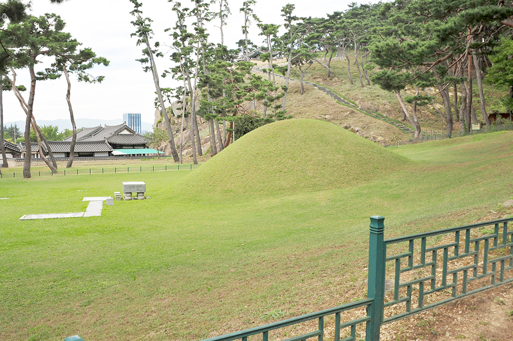 경주 금강산 표암봉 일원_3