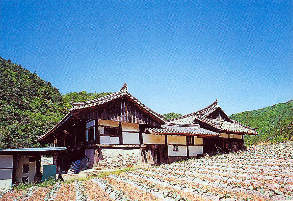 영덕 무안박씨 희암재사_3