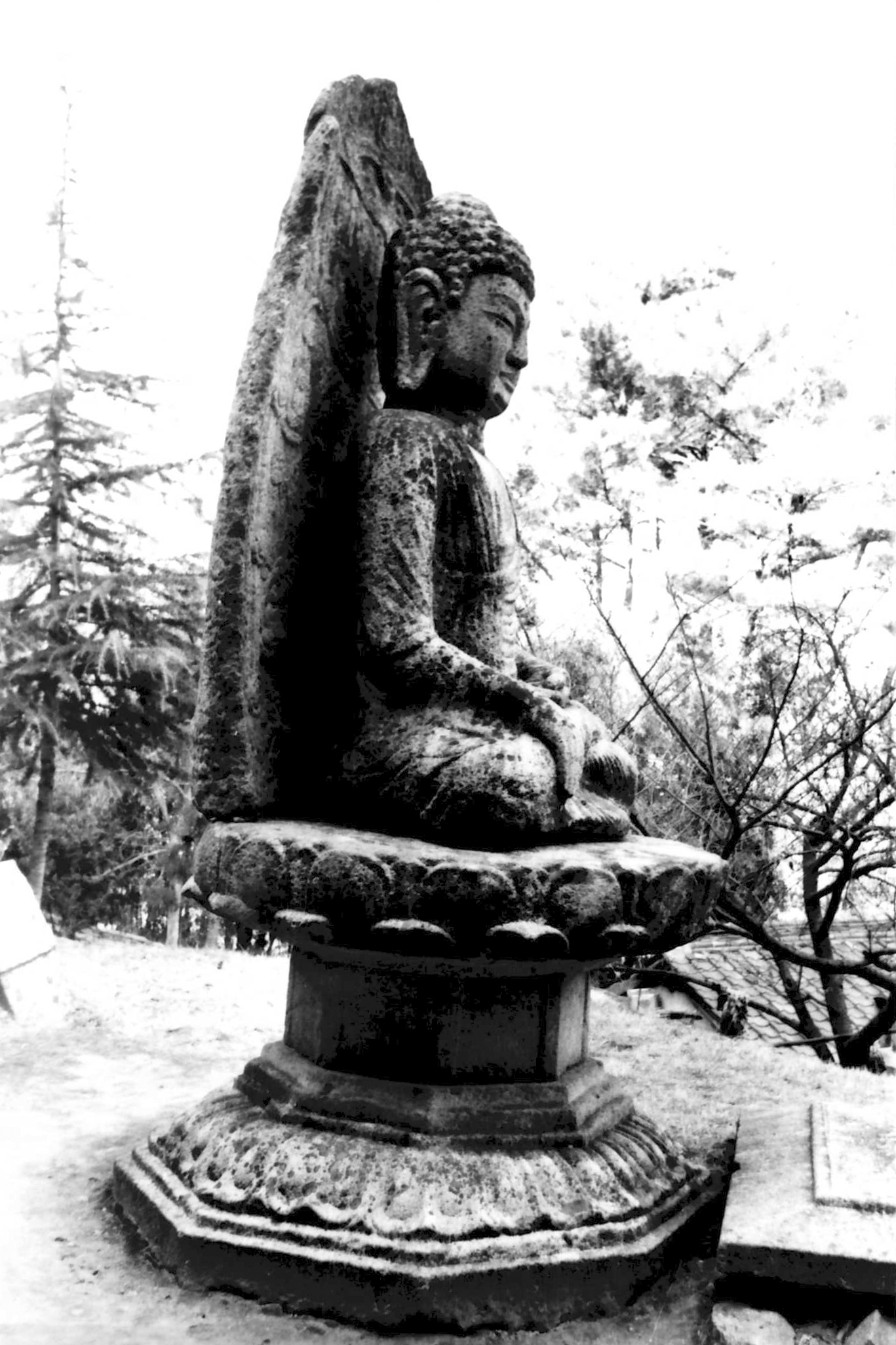 경주 남산 미륵곡 석조여래좌상_2