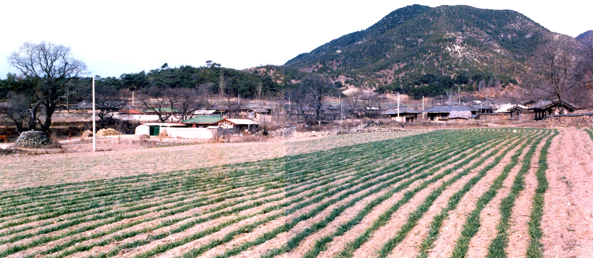 권응수장군유물-권응수 영정_1