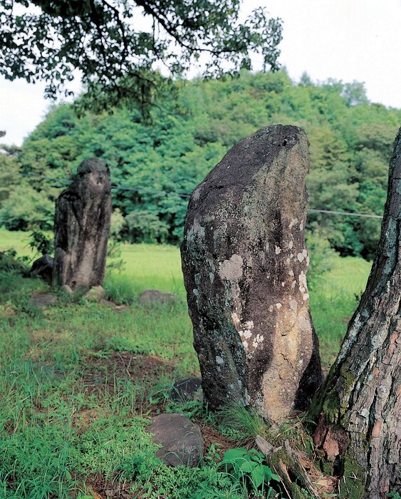 영주 청구리 입석_1