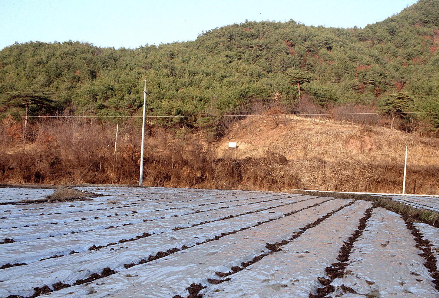 고령 대평리 분청사기요지_2