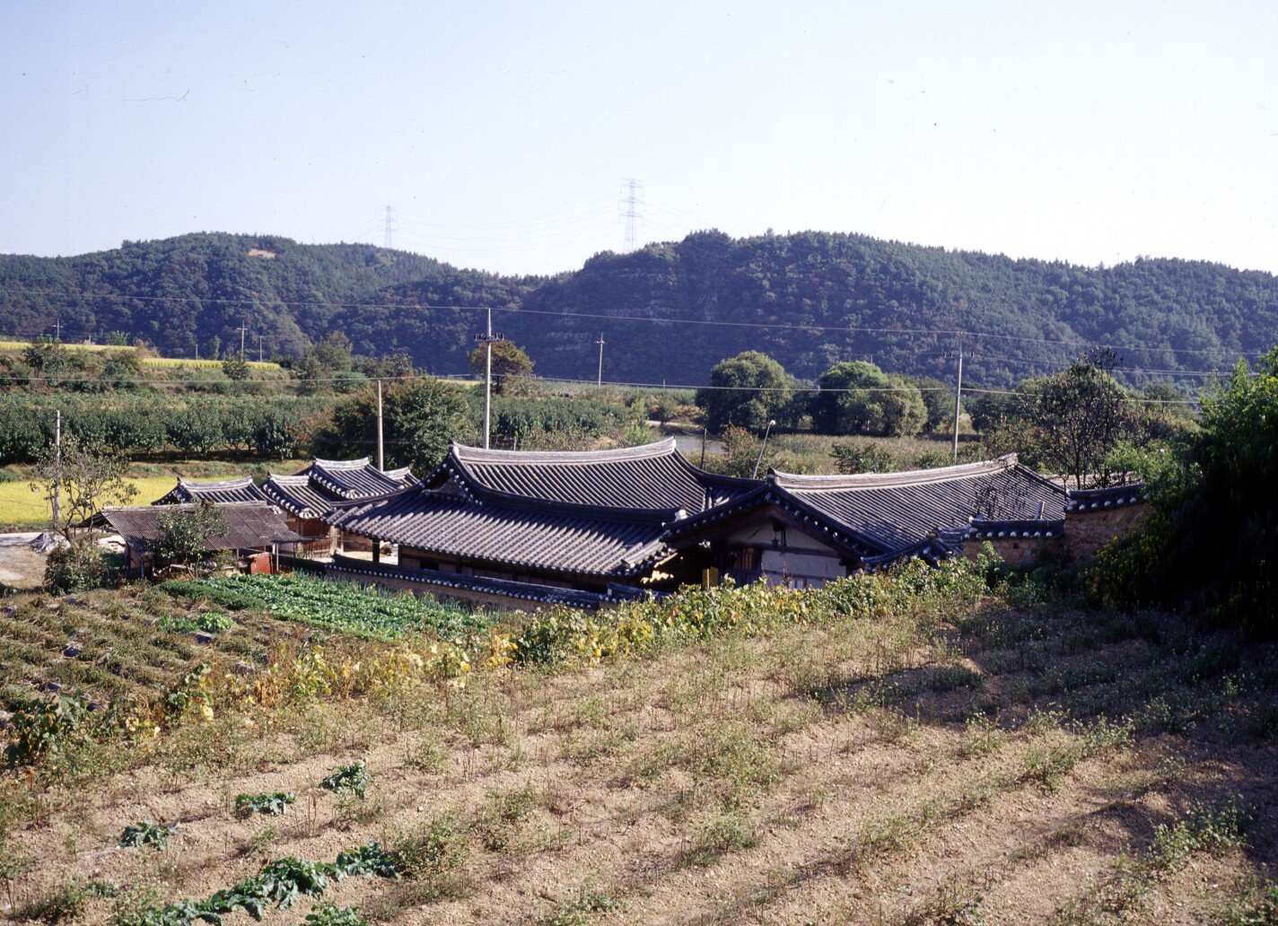 영천 경주김씨 지사공 종택(남강정사 포함)_3