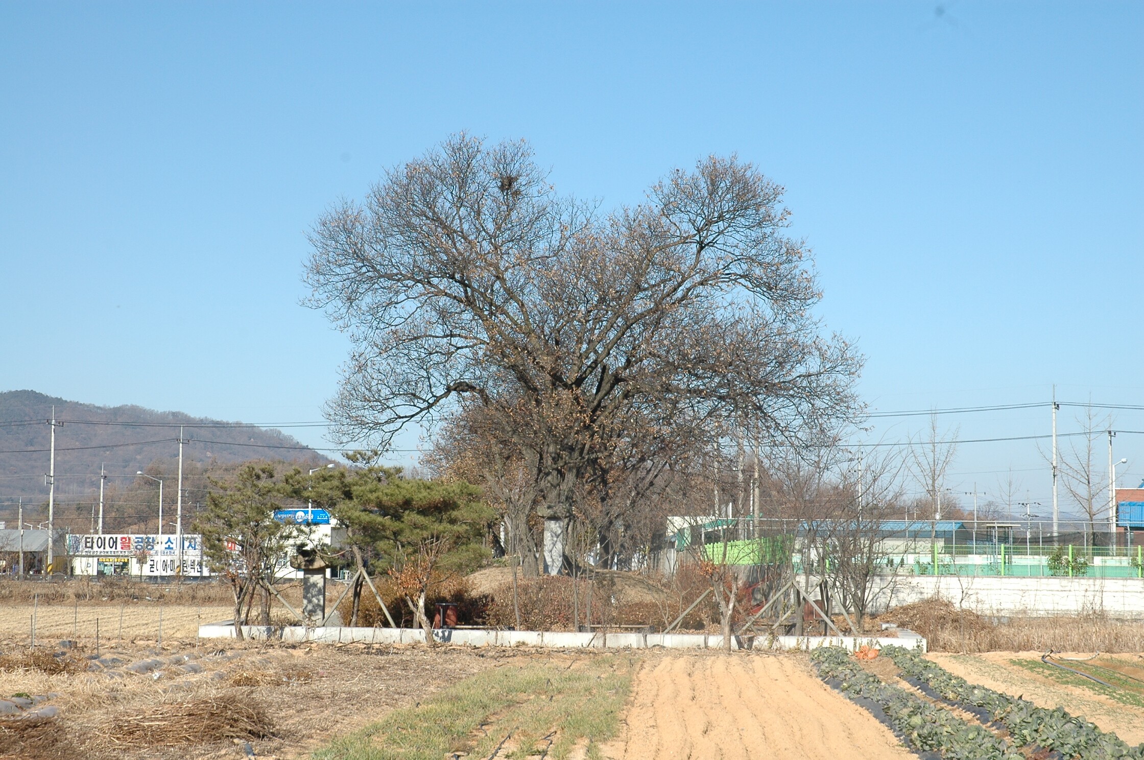 상주 조공제_2