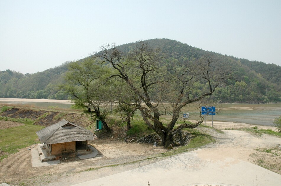 예천 삼강 주막_1